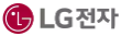 LG전자